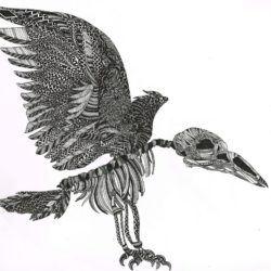 ink drawing Kate Zessel Whistler artist